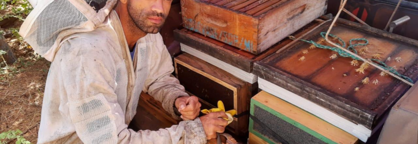 Com ATeG, apicultor triplica produção de mel