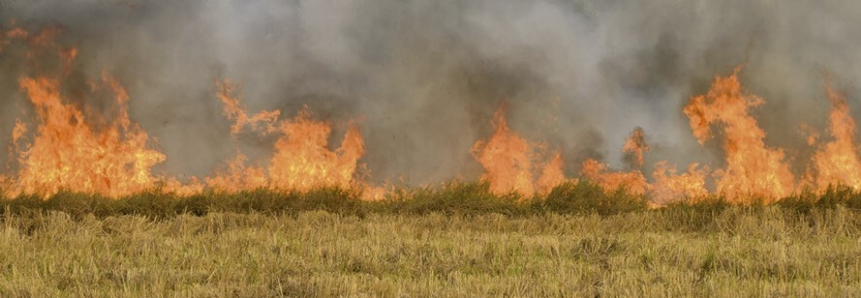 Inverno seco acende alerta de incêndios no meio rural