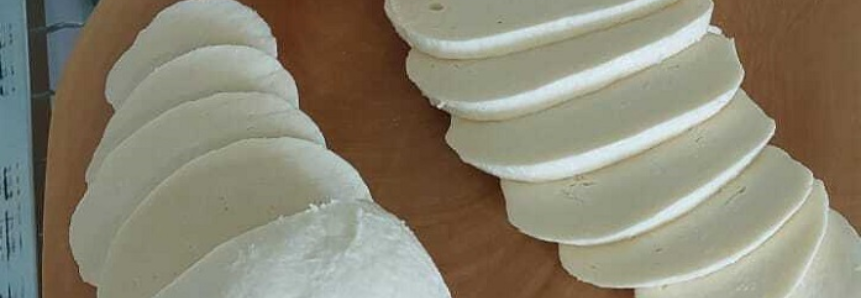Produtor assistido pelo Senar terá primeiro queijo Cabacinha reconhecido como patrimônio cultural imaterial e certificado com o Selo Arte