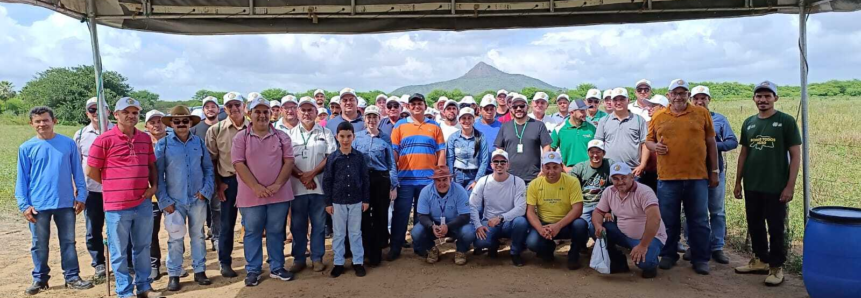 Forrageiras para o Semiárido: Dia de Campo reúne 100 produtores em Angicos-RN