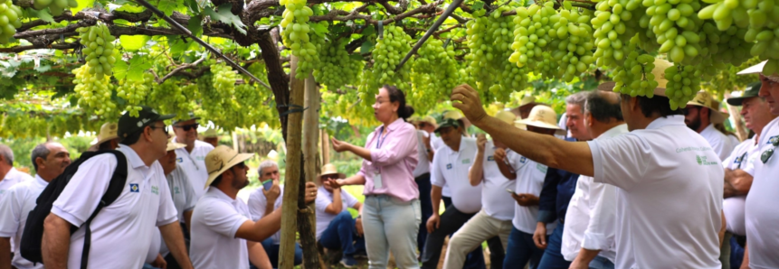 Missão Técnica Nordeste do Senar-MT conhece propriedades que são referências na produção de frutas