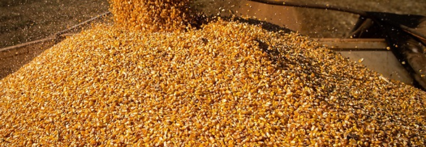 Com atuação da CNA, farelo e óleo de milho terão tratamento diferenciado de PIS/Cofins