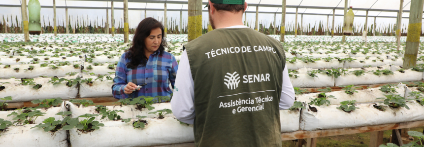 Artigo | ATeG: melhoria na base da agropecuária do Paraná