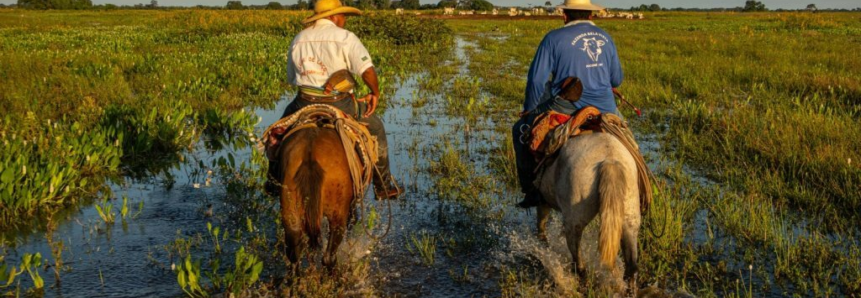 Fazenda Pantaneira Sustentável irá expandir atendimentos a produtores