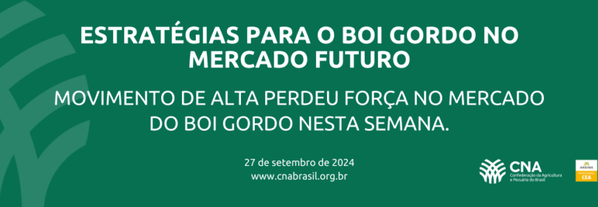 Movimento de alta perdeu força no mercado do boi gordo nesta semana