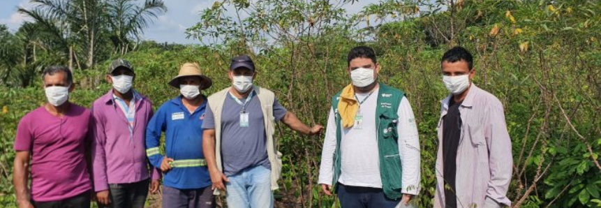 Turmas de fruticultura, olericultura e bovinocultura do Senar- AR/AM movimentam ações de ATeG em Setembro no Amazonas