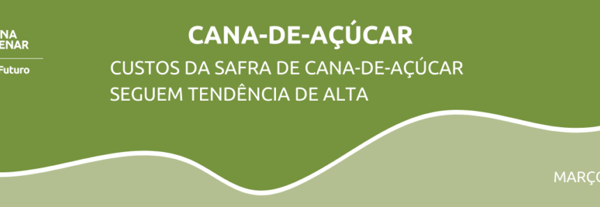Custos da safra de cana-de-açúcar seguem tendência de alta