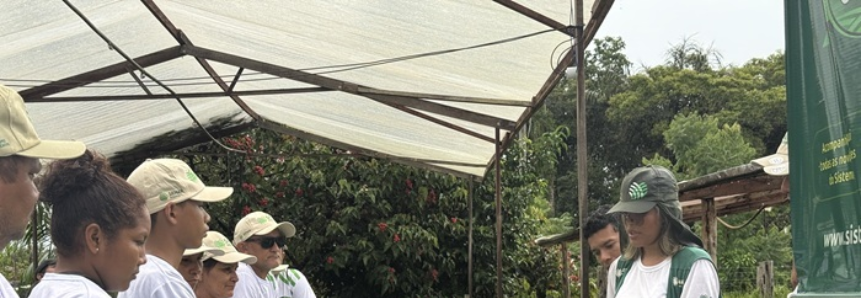 Técnica de campo do Senar Amazonas inova no manejo de hortaliças e ajuda produtores a melhorar renda