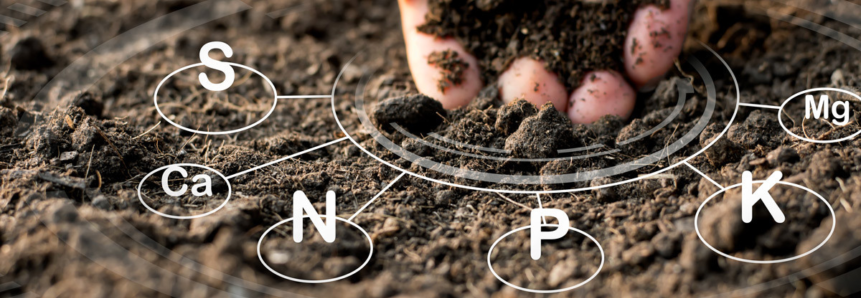 Rede de AgroPesquisa: qualificação para contribuir com preservação do solo