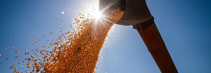 CNA apresenta perspectivas para o setor de grãos