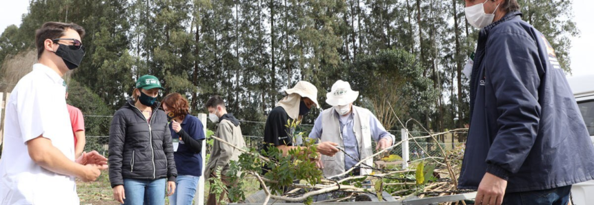 Treinamento ajuda a recuperar APPs em hortas urbanas de Curitiba