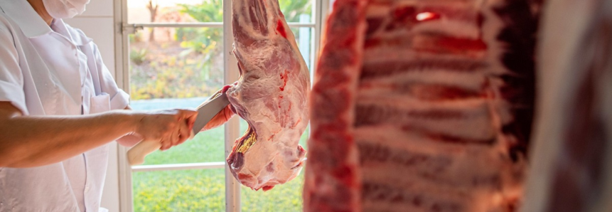 Em cinco meses, MS exporta 7,5 mil toneladas de carne suína e bate recorde em volume comercializado