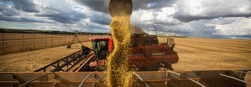 Campo Futuro levanta custos de produção de grãos em SC
