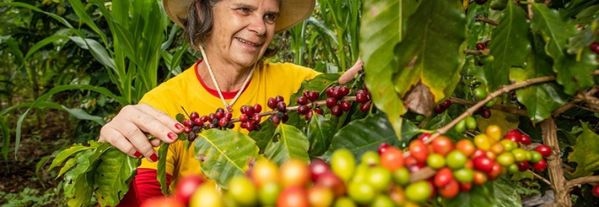 Curiosidades no plantio, manejo e colheita do café são temas de curso oferecido pelo Senar/MS