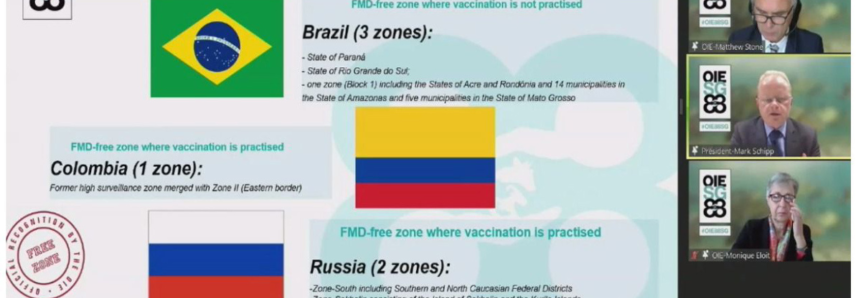 Paraná conquista o certificado de área livre de febre aftosa sem vacinação