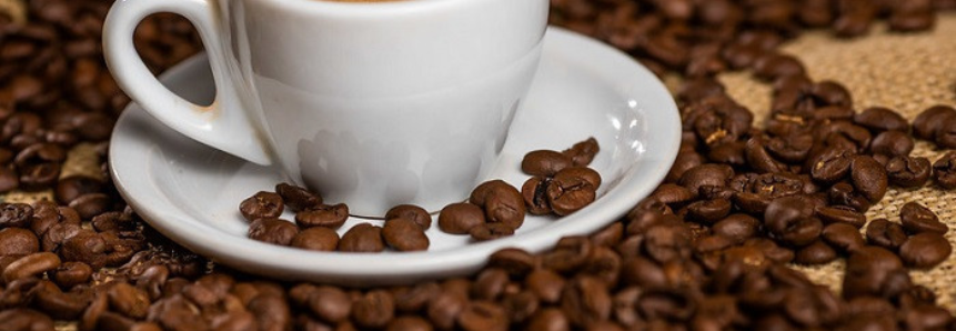 CNA levanta custos de produção do café no ES