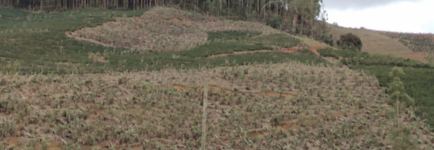 Força tarefa do agro vai ajudar produtores com prejuízos da chuva de granizo no Espírito Santo