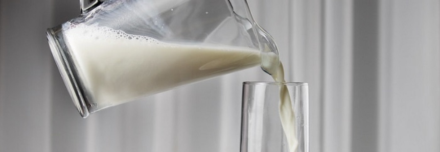 Projeto Agro.BR apresenta oportunidades para o setor lácteo brasileiro nos Estados Unidos
