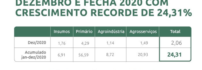 PIB do agronegócio tem crescimento recorde de 24,31% em 2020