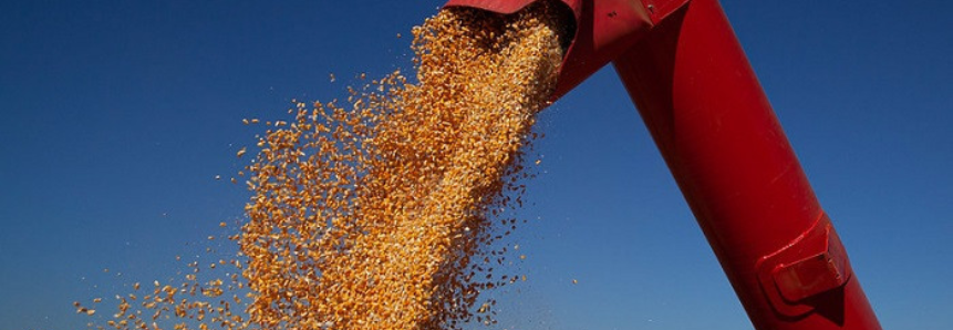 CNA solicita ao Mapa prorrogação dos prazos do ZARC para milho 2ª safra no Paraná e em Mato Grosso