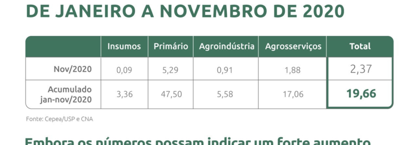 PIB do agronegócio cresce 19,66% de janeiro a novembro de 2020