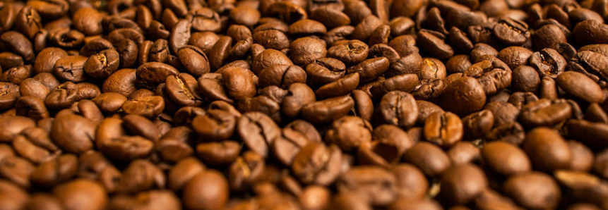 CNA debate alternativas para seca e tendências de consumo na cafeicultura