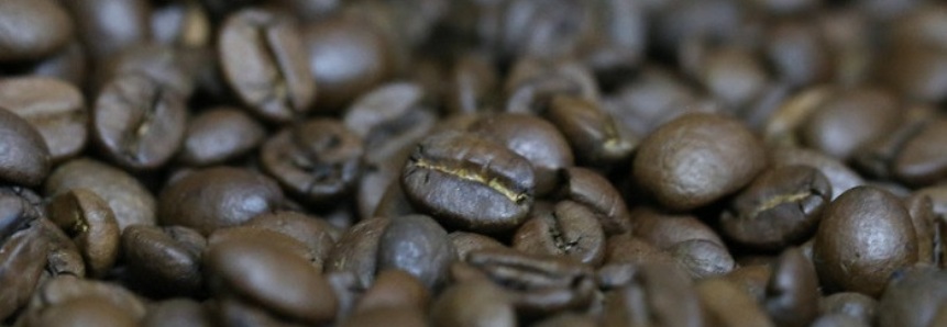 CNA diz que crédito para recuperação de cafezais é uma grande conquista