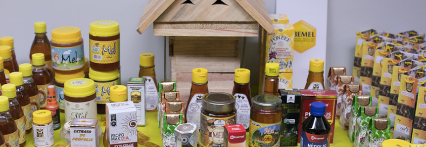CNA realiza workshop sobre exportação de mel