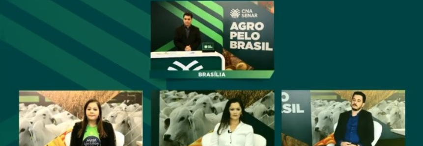 Agro pelo Brasil encerra programação com debates, gastronomia e cultura