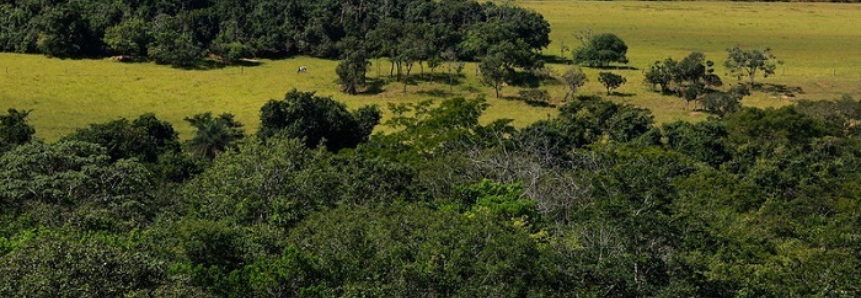 Projeto Biomas apresenta resultados das pesquisas no Cerrado
