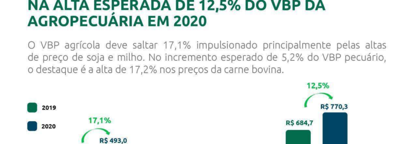 VBP da agropecuária deve crescer 12,5% em 2020