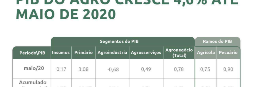 PIB do agronegócio cresce 4,62% de janeiro a maio de 2020
