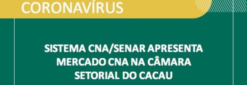 Sistema CNA/Senar apresenta Mercado CNA na Câmara Setorial do Cacau