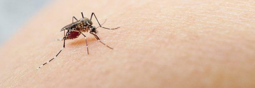Sistema FAEP/SENAR-PR realiza campanha contra a dengue