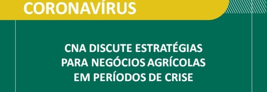 CNA discute estratégias para negócios agrícolas em períodos de crise