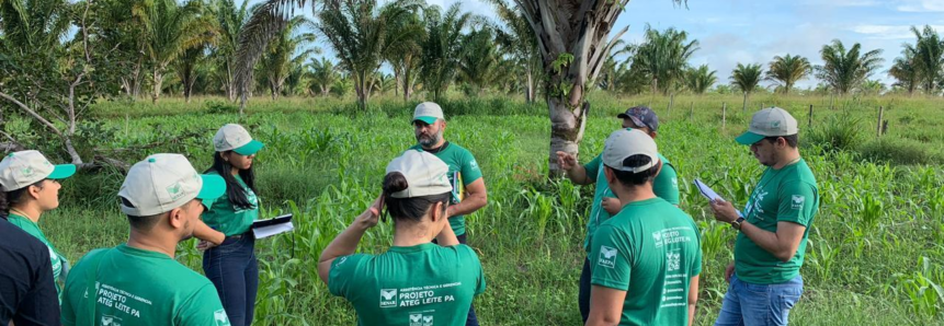 Com ATeG, propriedades rurais do Pará aumentam a produção de leite