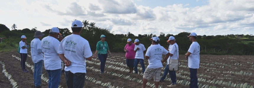 Produtores de leite participam de treinamento sobre manejo da palma