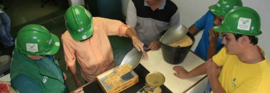 Curso de classificação de grãos ajuda produtores a evitarem prejuízos