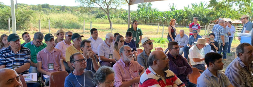 Dia de campo apresenta primeiros resultados do Projeto Forrageiras para o Semiárido em Minas Gerais