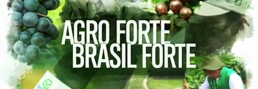 Agro Forte Brasil Forte - 03/02/2019