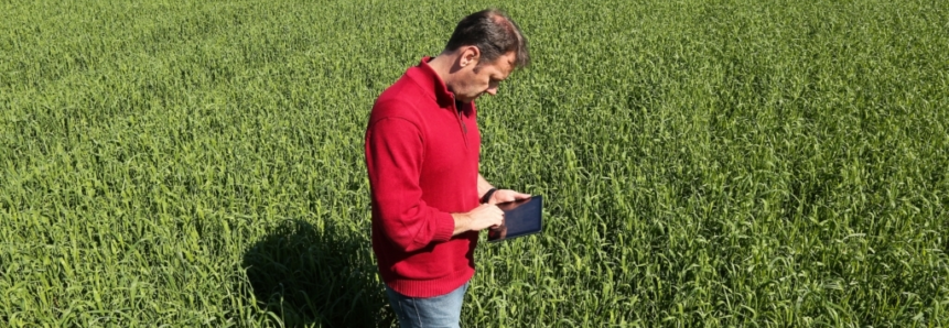 Agricultura digital depende de internet de qualidade no campo