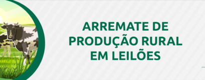 Arremate de Produção Rural em leilões