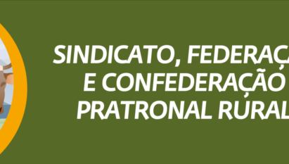 SINDICATO, FEDERAÇÃO E CONFEDERAÇÃO PATRONAL RURAL