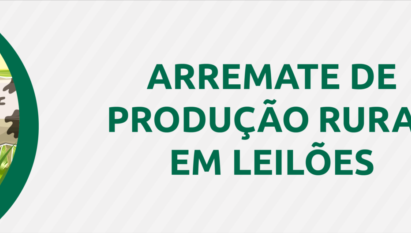 Arremate de Produção Rural em leilões