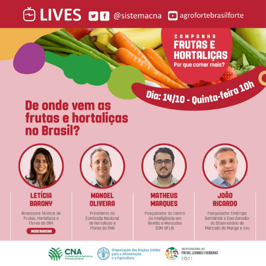 De onde vem as frutas e hortalicas no brasil
