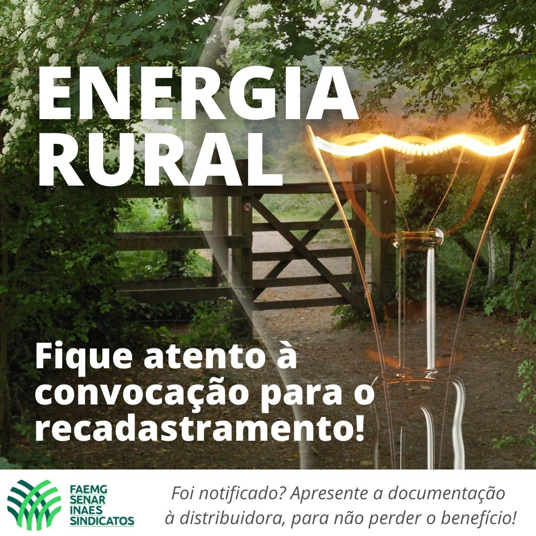 Energia rural