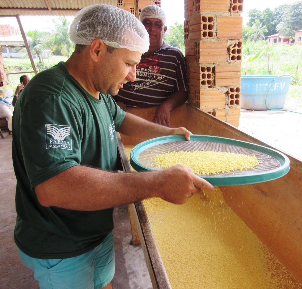 Produtores de farinha de mandioca qualificados pelo Senar ganham
