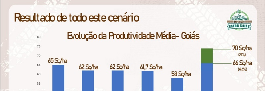 Soja em Goiás pode superar 20 milhões de toneladas, 23% a mais que no ano passado, aponta balanço da Expedição Safra Goiás