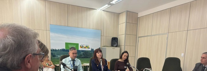 CNA participa de reunião da Câmara Setorial de Florestas Plantadas
