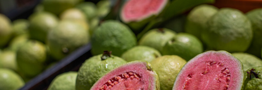 CNA discute demandas da fruticultura